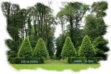 DFesbroces y desmalezado fincas