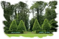 tala y poda en altura