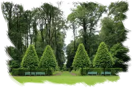 Tala de árboles y podas