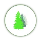 Poda y tala en altura Madrid Tala y poda en altura Madrid