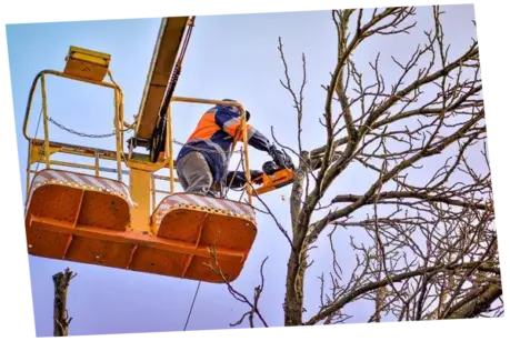 Epresas de podas en altura