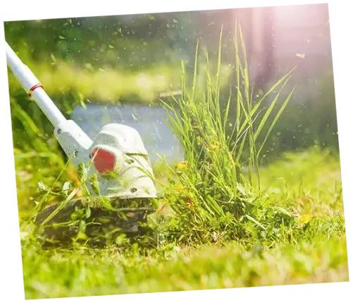 Eliminación de malas hierbas