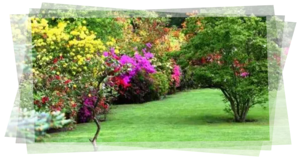 Servicio de jardinería